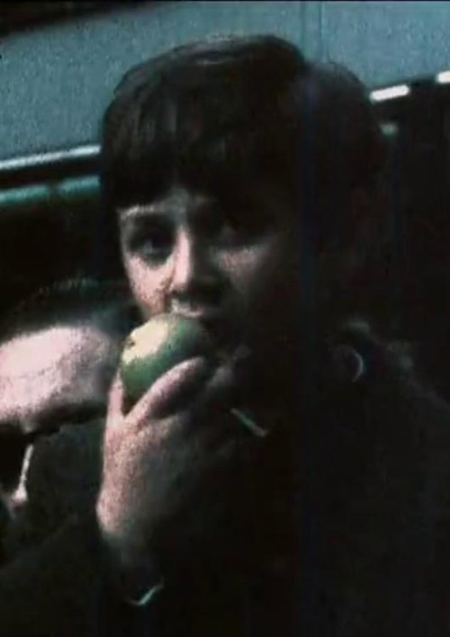 Manzanas 1973