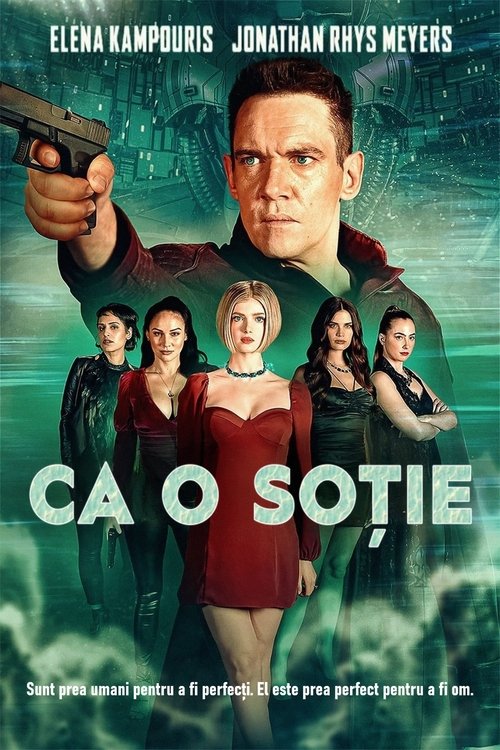 Poster pentru Ca o soție
