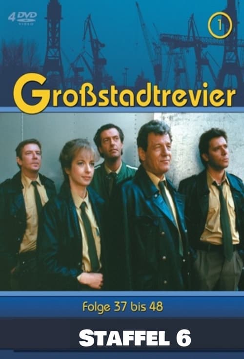 Where to stream Großstadtrevier Season 6