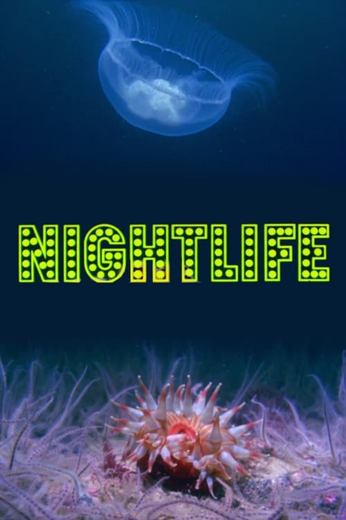 Poster Nightlife 1976