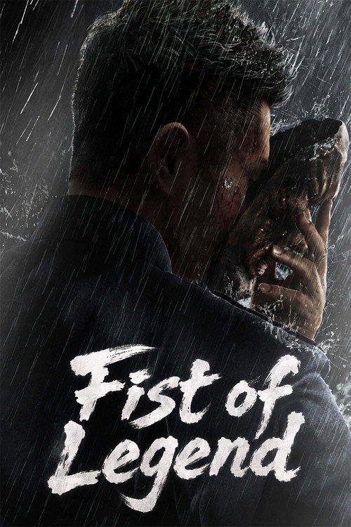 Fist of Legend Poster