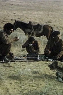 Shepherd's Friend poster