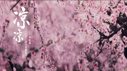 杨宗纬&张碧晨 - 凉凉 Backdrop Blur