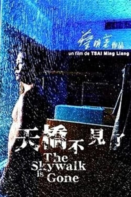 天橋不見了 (2002) poster