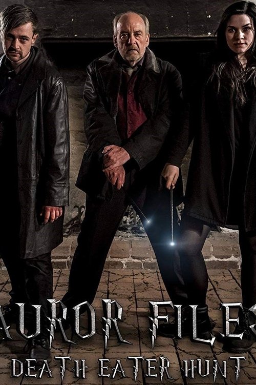 Auror Files: Death Eater Hunt movie poster player