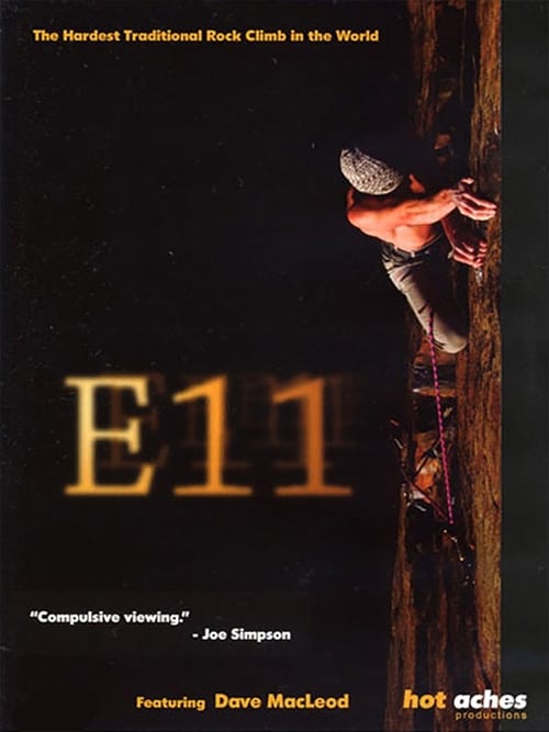E11 (2006) poster
