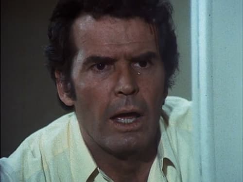 Poster della serie The Rockford Files