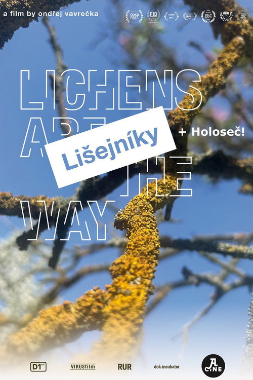 Lichens Are the Way