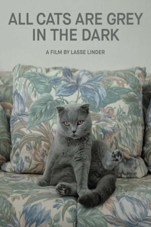 All Cats Are Grey in the Dark