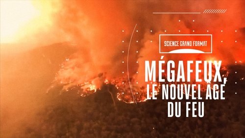 Mégafeux, le nouvel âge du feu