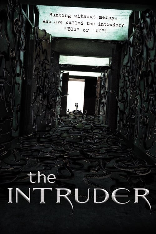 The Intruder poster