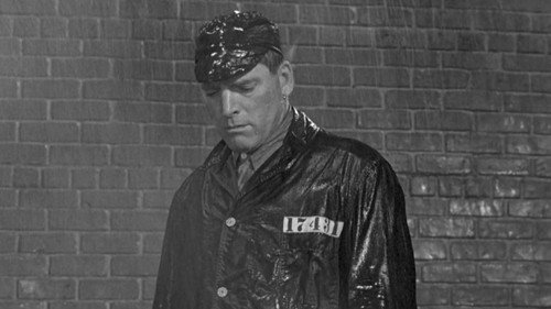 Birdman of Alcatraz — still 14