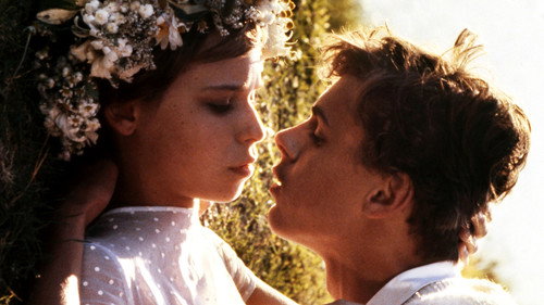 Chronicle of Amorous Accidents