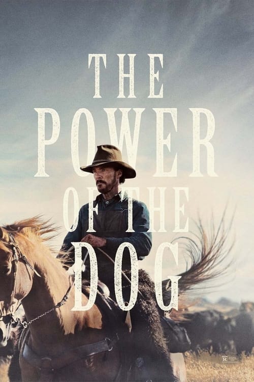 Grootschalige poster van The Power of the Dog