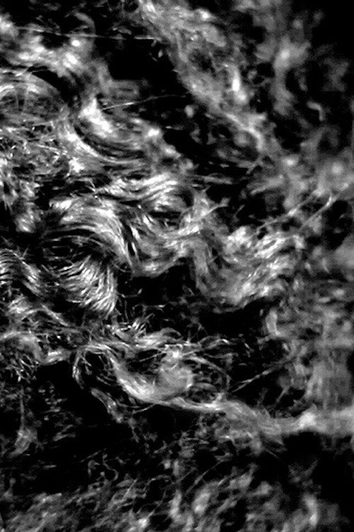 Landscape (Western Hemisphere)