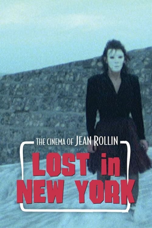 Poster Perdues dans New York 1989