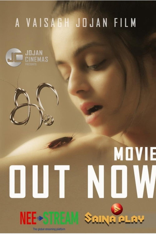 Koora still 1