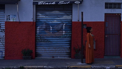 The Memory Beneath the Waters