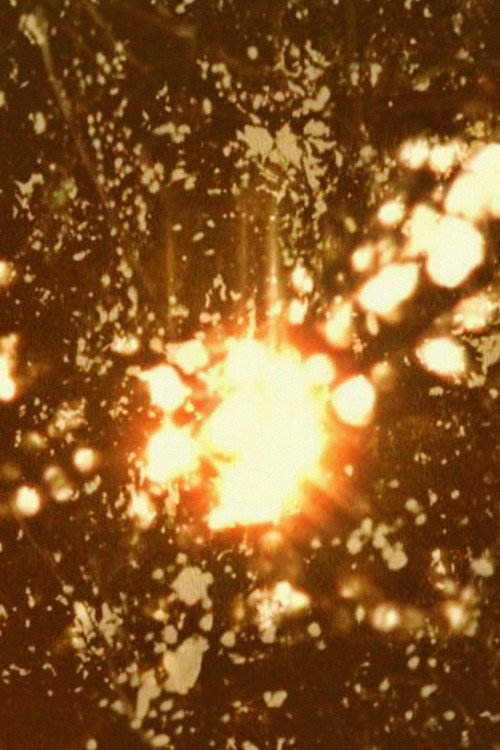 Elements of Nothing