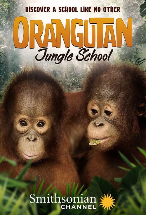 Orangutan Jungle School poster