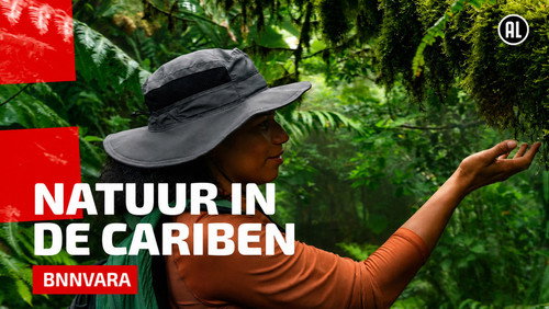 Natuur in de Cariben