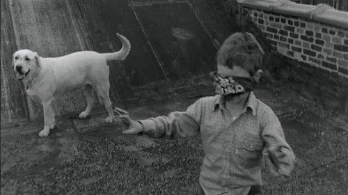 Born to Film Backdrop Blur