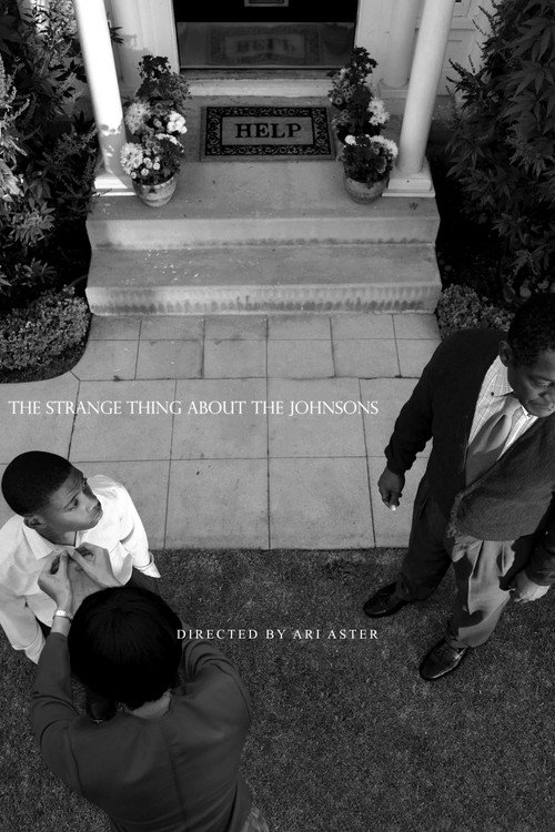 Official poster of The Strange Thing About the Johnsons (2011) - Dram