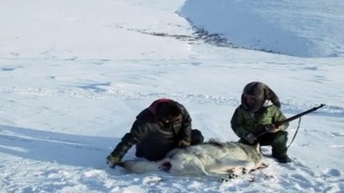 Poster della serie Life Below Zero