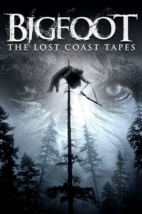 Bigfoot: The Lost Coast Tapes (2012) poster