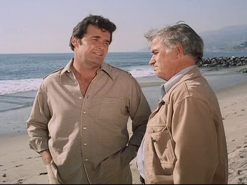 Poster della serie The Rockford Files