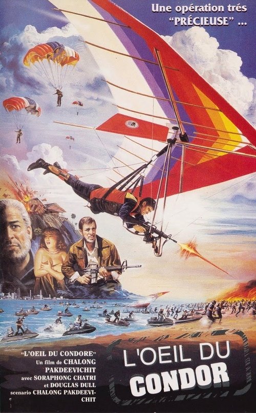 L’œil du condor