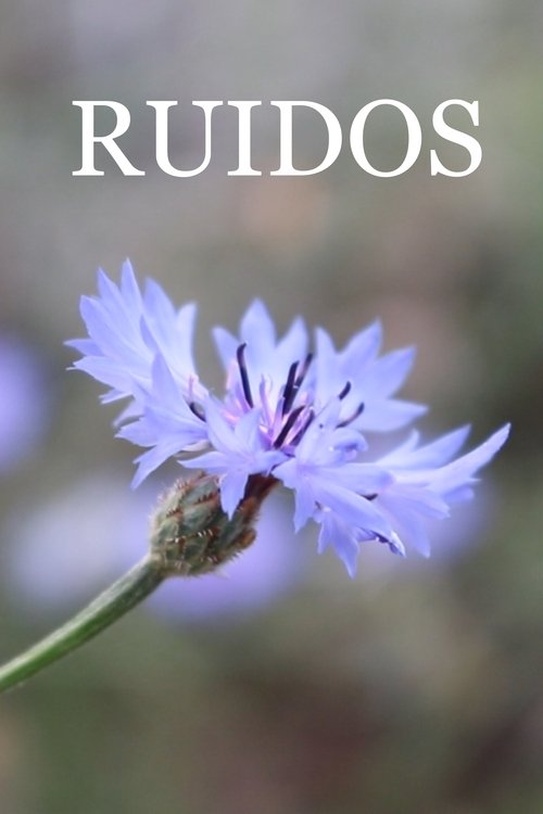 Ruidos