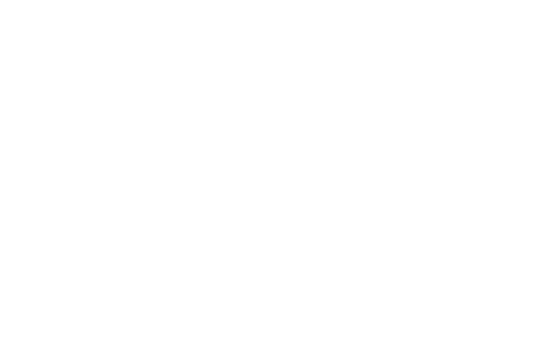 Love and Penguins