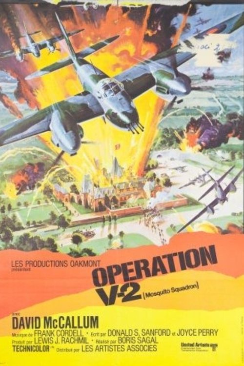 Mosquito Squadron poster