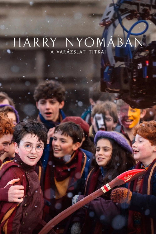 Finding Harry: The Craft Behind the Magic poster