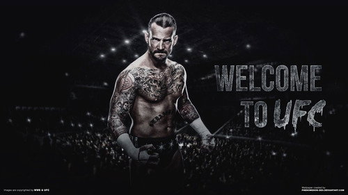 Ultimate Fight Championship - Season 1 Backdrop Blur