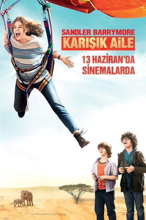 Karışık Aile ( Blended )