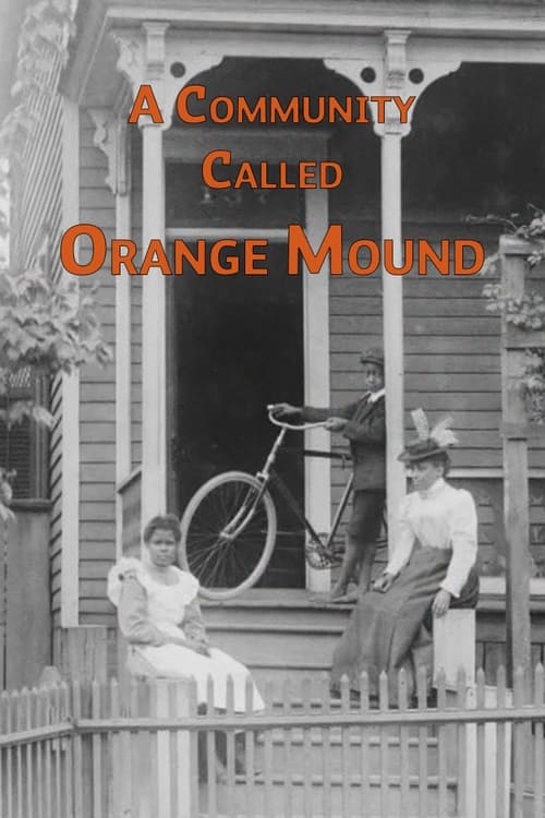 A Community Called Orange Mound (2013) poster
