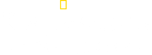 Fazendas e Sonhos