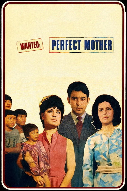 Wanted: Perfect Mother