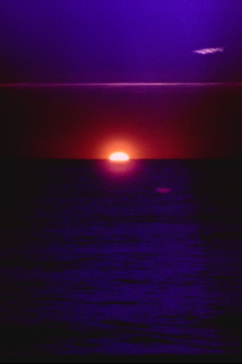 solar wave poster