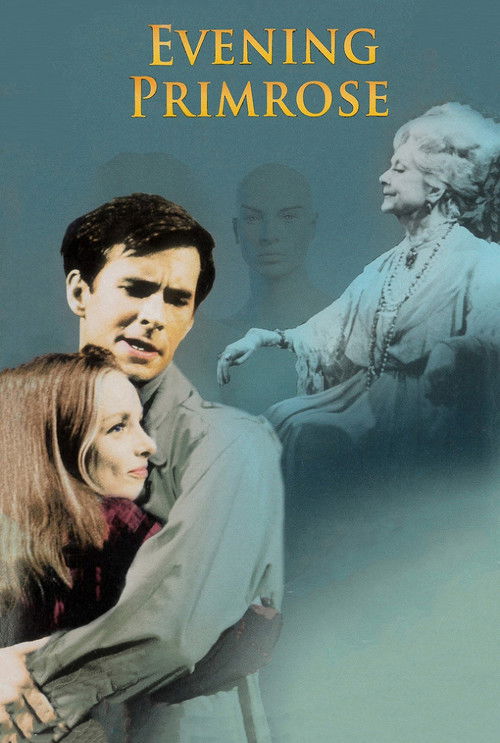 Evening Primrose poster