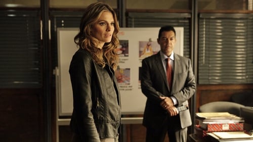 Castle: 6×17