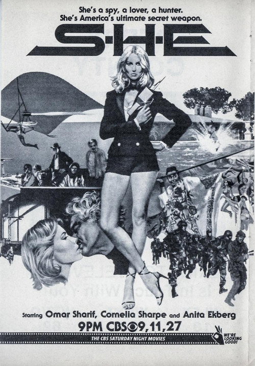 S+H+E: Security Hazards Expert poster