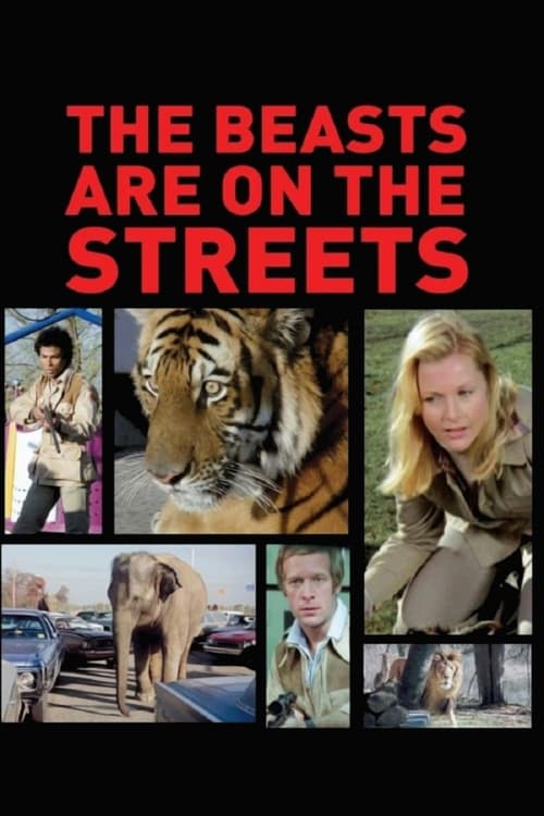 The Beasts Are on the Streets (1978) poster