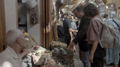 Les trésors oubliés de la médecine arabe