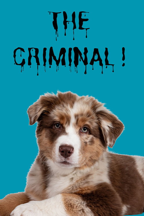 The Criminal!