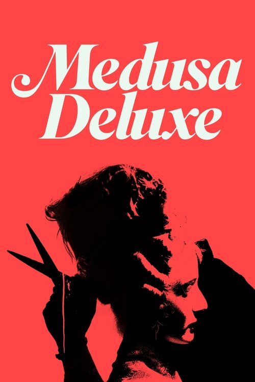 Poster 14