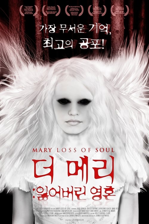 Mary Loss of Soul (2015) poster