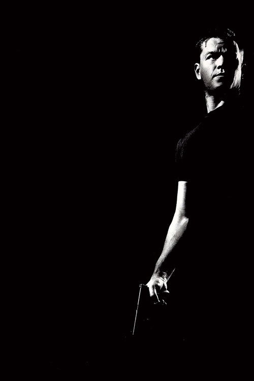 Pòster de Bourne - Col·lecció